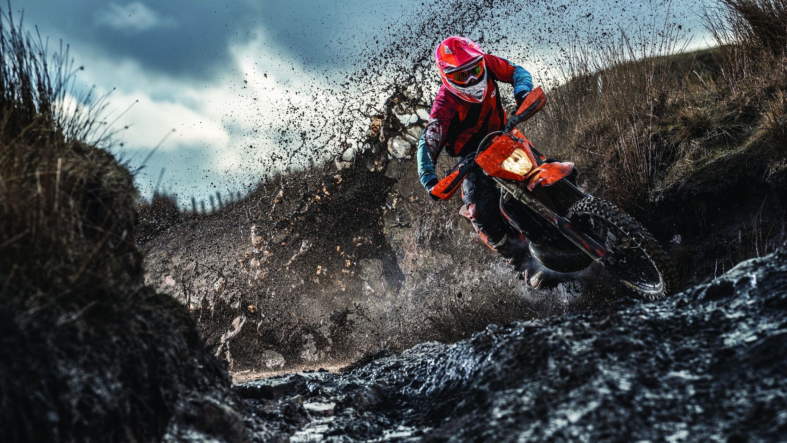 袋鼠队的专注细节与战术执行力成其取胜法宝，关于袋鼠队的押韵口号