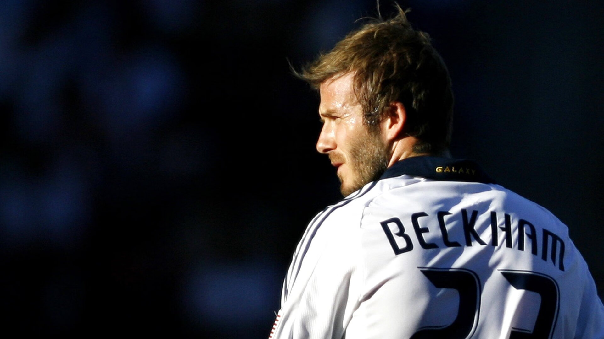 德国球迷：第一次看樊振东比赛，就被征服了！，樊振东vs德国